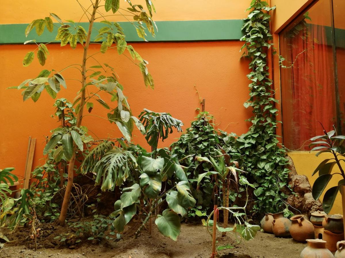קופקבאנה Olas Del Titicaca Backpackers Hostel מראה חיצוני תמונה
